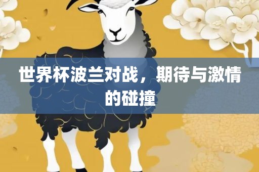 世界杯波兰对战，期待与激情的碰撞
