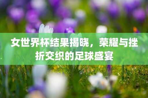 女世界杯结果揭晓，荣耀与挫折交织的足球盛宴漯河市盈旭机械设备有限公司