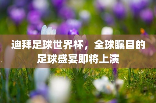 迪拜足球世界杯，全球瞩目的足球盛宴即将上演漯河市盈旭机械设备有限公司
