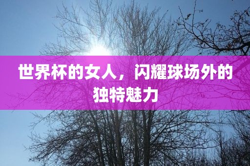 世漯河市盈旭机械设备有限公司界杯的女人，闪耀球场外的独特魅力
