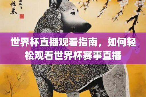 世界杯直播观看指南，如何轻松观看世界杯赛事直播
