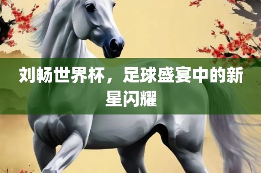 刘畅世界杯，足球盛宴中的新星闪耀