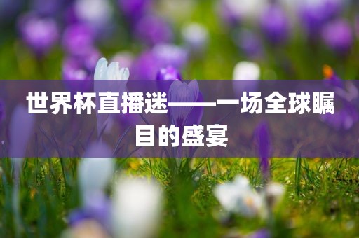 世界杯直播迷——一场全球瞩目的盛宴