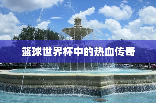 篮球世界杯中的热血传奇漯河市盈旭机械设备有限公司