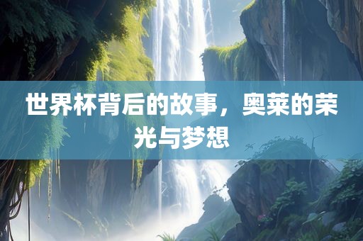 世界杯背后的故事，奥莱的荣光与梦想漯河市盈旭机械设备有限公司