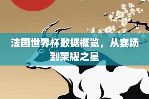 法国世界杯数据概览，从赛场到荣耀之星
