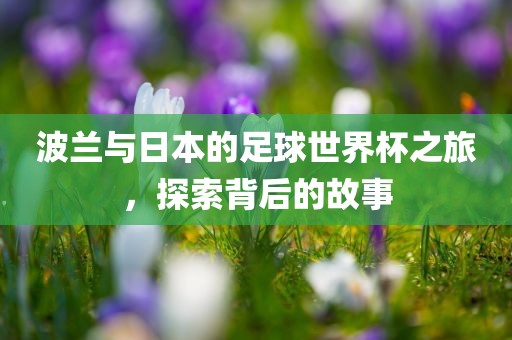 波兰与日本的足球世界杯之旅，探索背后漯河市盈旭机械设备有限公司的故事