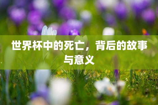 世界杯中的死亡，背后的故事与意义