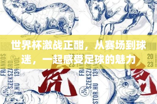 世漯河市盈旭机械设备有限公司界杯激战正酣，从赛场到球迷，一起感受足球的魅力