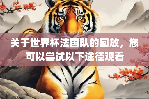 关于世界杯法国队的回放，您可以尝试以下途径观看