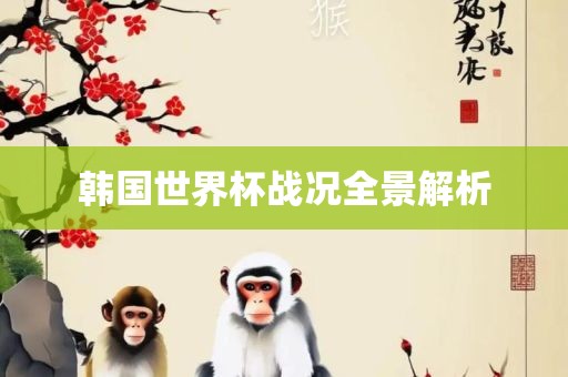 韩国世界杯战况全景解析