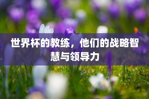 世界杯的教练，他们的战略智慧与领导力