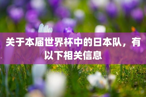 关于本届世界杯中的日本队，有以下相关信息