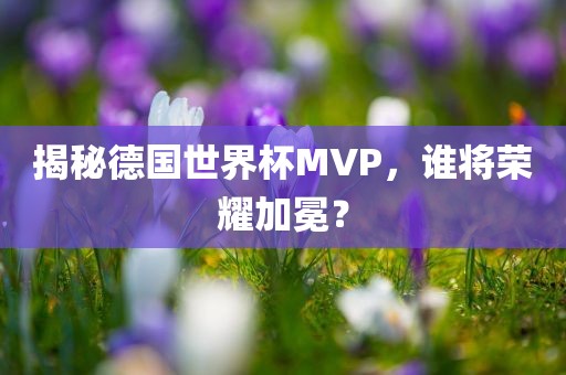 揭秘德国世界杯MVP，谁将荣耀加冕？漯河市盈旭机械设备有限公司