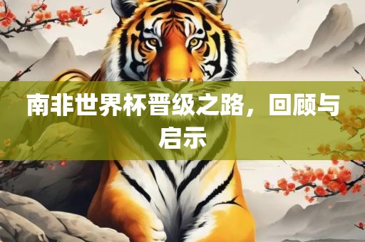 南非世界杯晋级之路，回顾与启示漯河市盈旭机械设备有限公司
