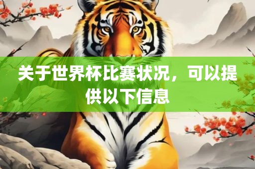 关于世界杯比赛状况，可以提供以下信息