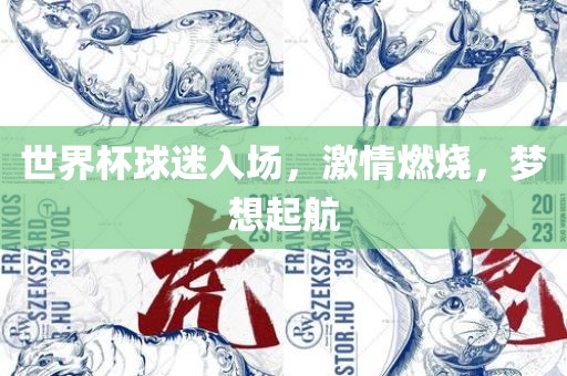 世界杯球迷入场，激情燃烧，梦想起航漯河市盈旭机械设备有限公司