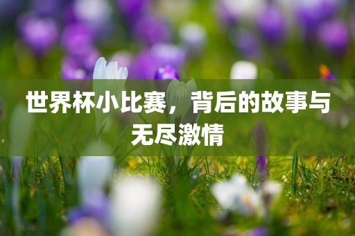 世界杯小比赛，背后的故事与无尽激情