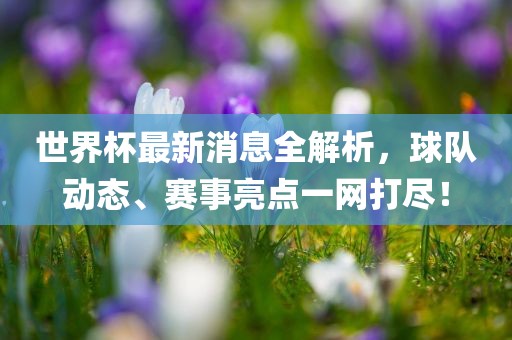 世界杯最新消息全解析，球队动态、赛事亮点一网打尽！