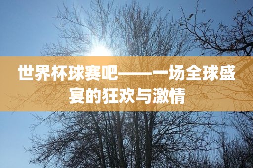 世界杯球赛