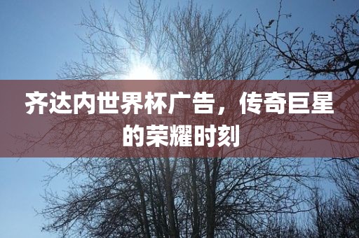 齐达内世界杯广告，传奇巨星的荣耀时刻