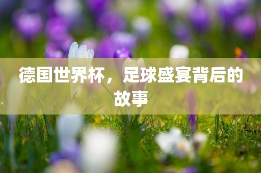 足球盛宴故事（或足球背后的故事）