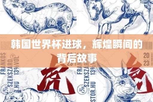 韩国世界杯进球，辉煌瞬间的背后故事
