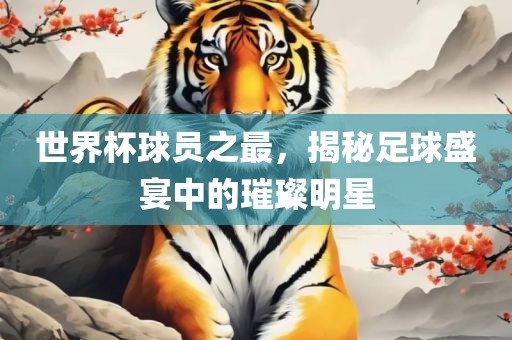 世界杯球员之最，揭秘足球盛宴中的璀璨明星