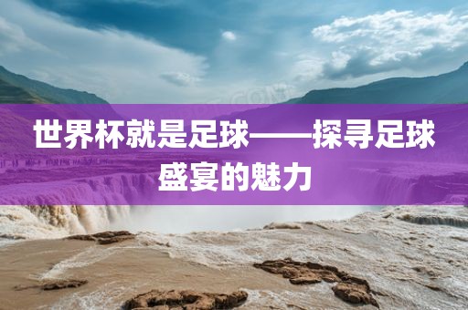 世界杯就是足球——探寻足球盛宴的魅力漯河市盈旭机械设备有限公司