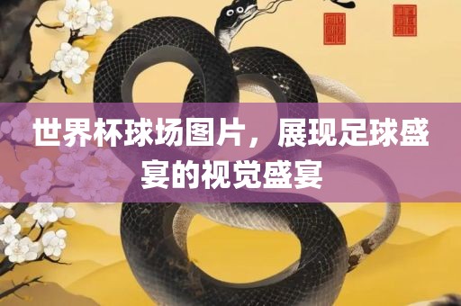 世界杯球场图片，展现足球盛宴的视觉盛宴