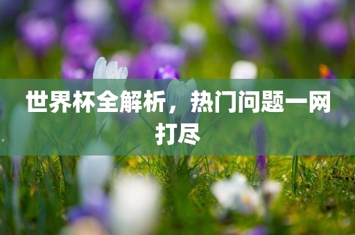 世界杯全解析，热门问题一网打尽漯河市盈旭机械设备有限公司
