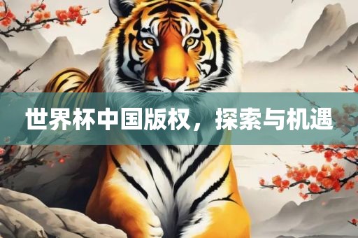 世界杯中国版权，探索与机遇漯河市盈旭机械设备有限公司