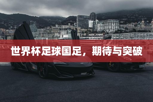 世界杯足球国足，期待与突破漯河市盈旭机械设备有限公司
