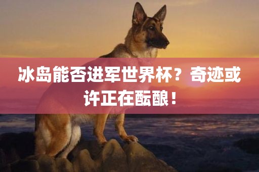 冰岛能否进军世界杯？奇迹或许正在酝酿！漯河市盈旭机械设备有限公司
