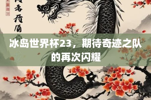 冰岛世界杯23，期待奇迹之队的再次闪耀