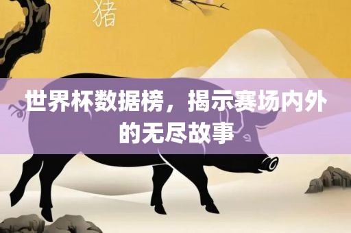 世界杯数据榜，揭示赛场内外的无尽故事