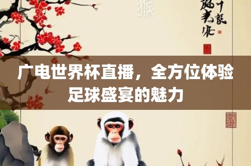 广电世界杯直播，全方位体验足球盛宴的魅力漯河市盈旭机械设备有限公司