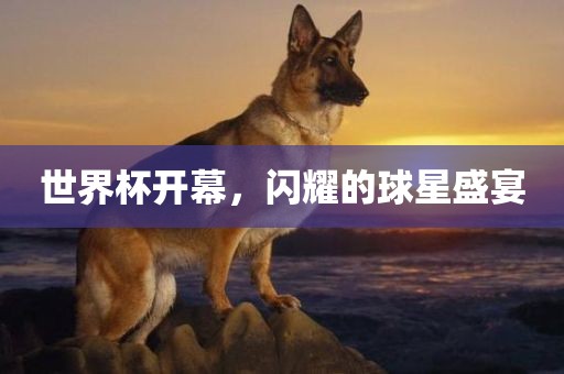 世界杯开幕，闪耀的球星盛宴漯河市盈旭机械设备有限公司
