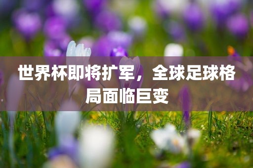 世界杯即将扩军，全球足球格局面临巨变漯河市盈旭机械设备有限公司