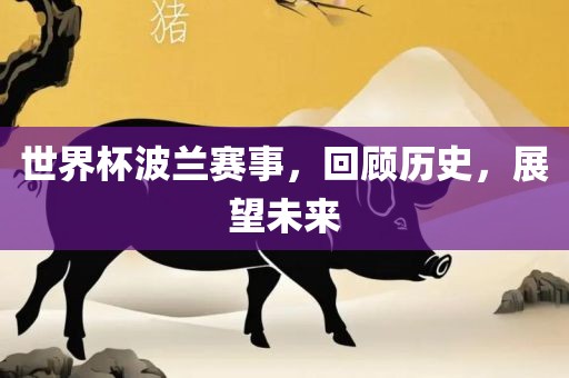 世界杯波兰赛事，回顾历史，展望未来
