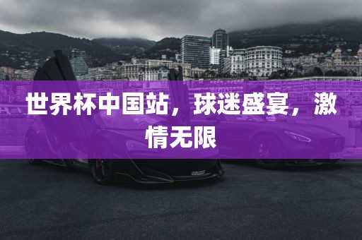 世界杯中国站，球迷盛宴，激情无限漯河市盈旭机械设备有限公司