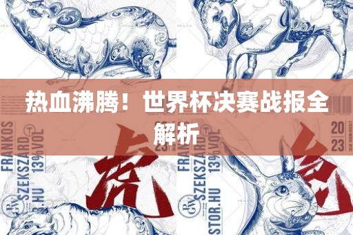 热血沸腾！世界杯决赛战报全解析漯河市盈旭机械设备有限公司