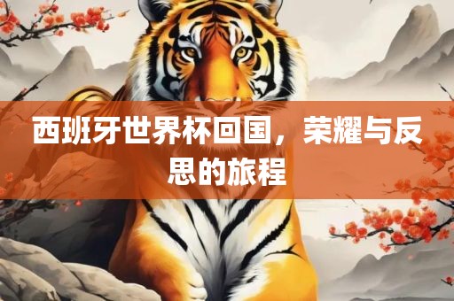 西班牙世界杯回国，荣耀与反思的旅程