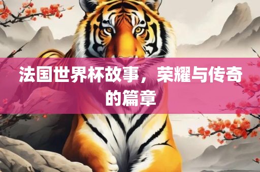 法国世界杯故事，荣耀与传奇的篇章