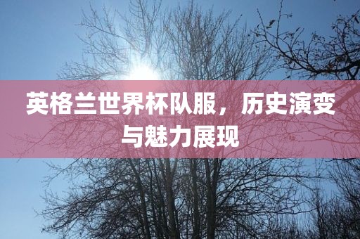 英格兰世界杯队服，历史演变与魅力漯河市盈旭机械设备有限公司展现