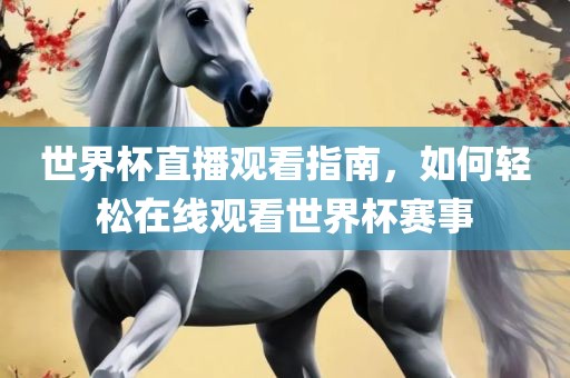 世界杯直播观看指南，如何轻松在线观看世界杯赛事漯河市盈旭机械设备有限公司