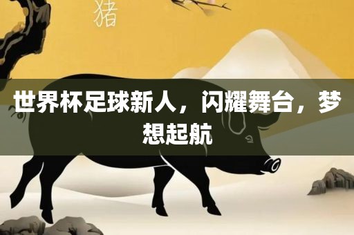 梦想起航
