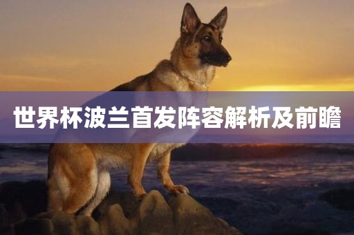 世界杯波兰首发阵容解析及前瞻