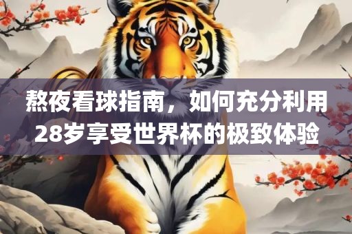 熬夜看球指南，如何充分利用28岁享受世界杯的极致体验漯河市盈旭机械设备有限公司