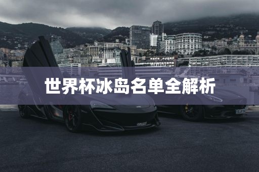 世界杯冰岛名单全解析